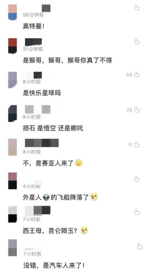 青海玉树爆料视频,现场直击，揭秘真相